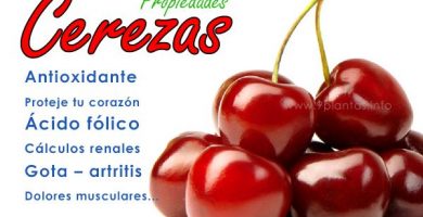 Cerezas otra fruta de verano que ayudará a tu corazón