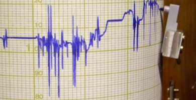 Ocho estrategias para combatir la fluctuación de la demanda en el sector servicios