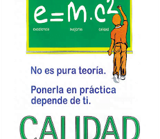 Los principios de la excelencia en la práctica