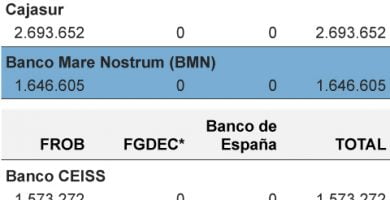 Bankia absorbe BMN